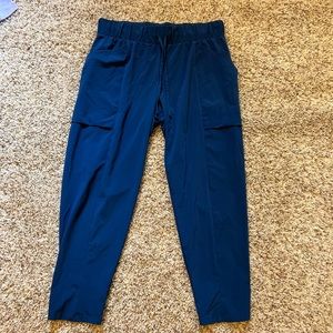 Blue ankle pants